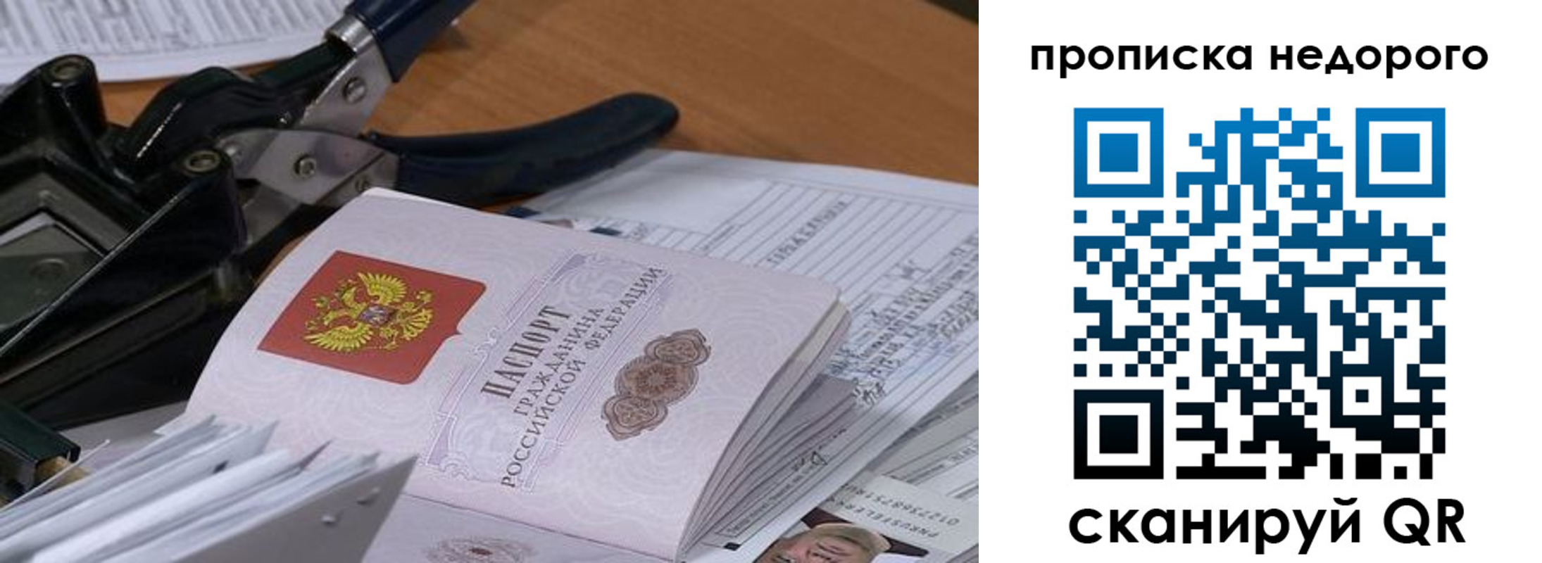 где прописаться в Коле